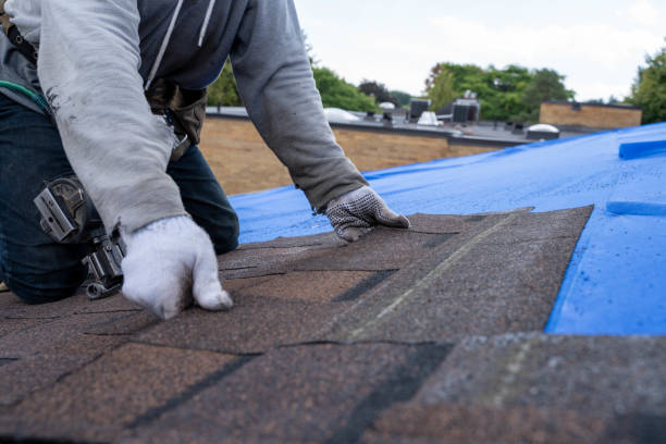 Best Roof Waterproofing Services  in Cecilia, LA